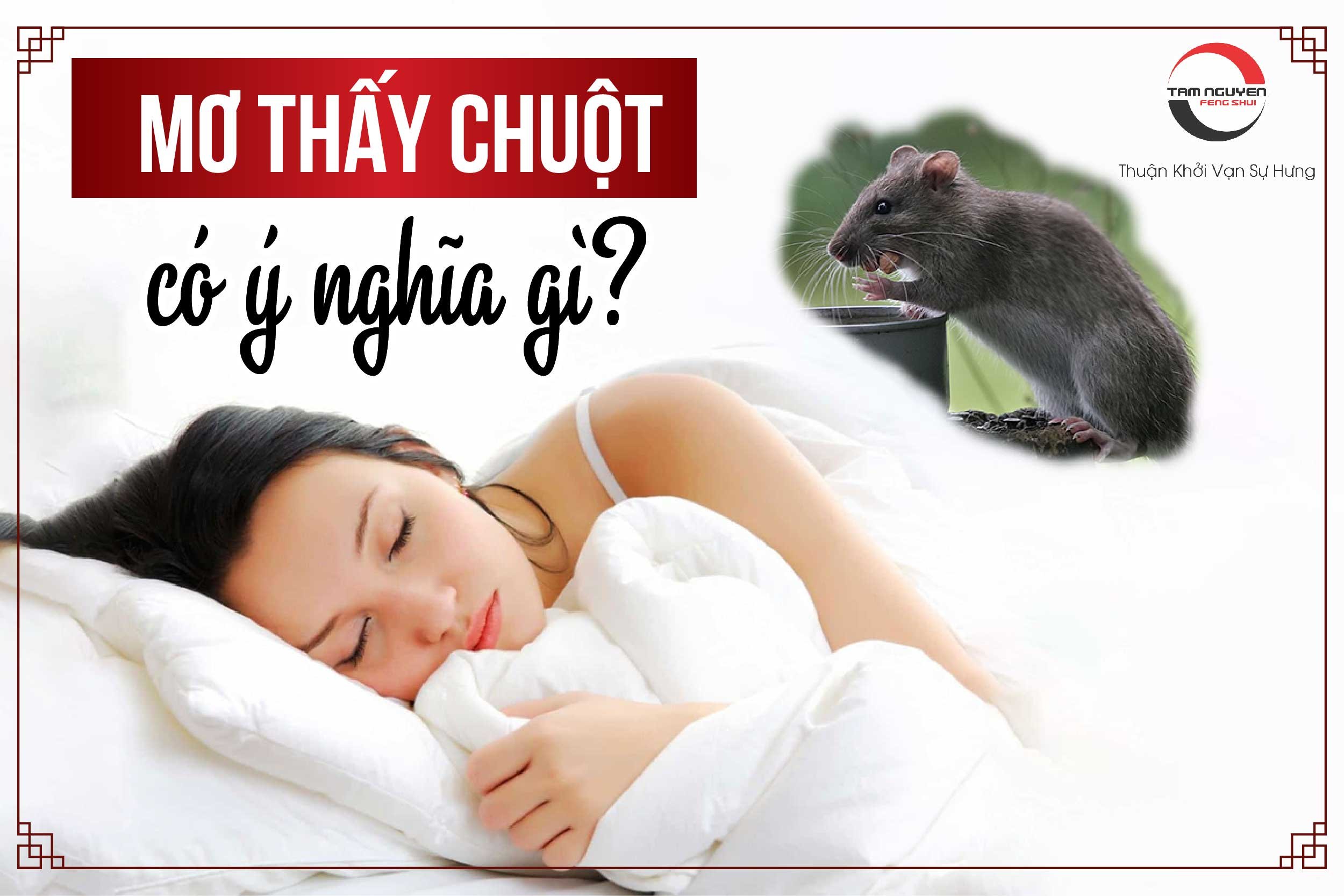 mơ thấy chuột trắng là điềm báo tốt lành