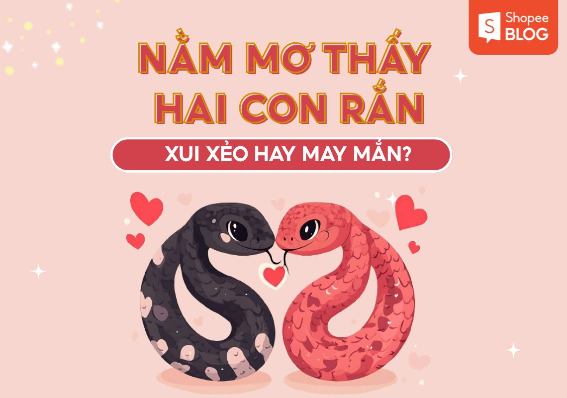 Mơ Thấy 2 Con Rắn Hổ Mang Điềm Báo Gì & Con Số May Mắn 2026 1 nằm mơ thấy 2 con rắn hổ mang