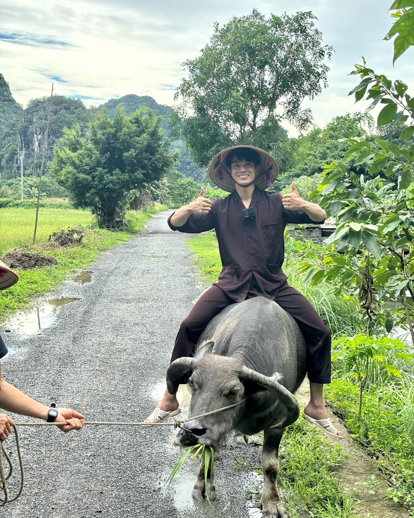 Nằm Mơ Thấy Trâu Điềm Gì? Giải Mã 20+ Giấc Mơ & Con Số 5 Nằm mơ thấy một đàn trâu