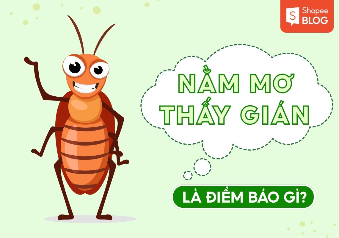 Giải mã điềm báo nằm mơ thấy gián