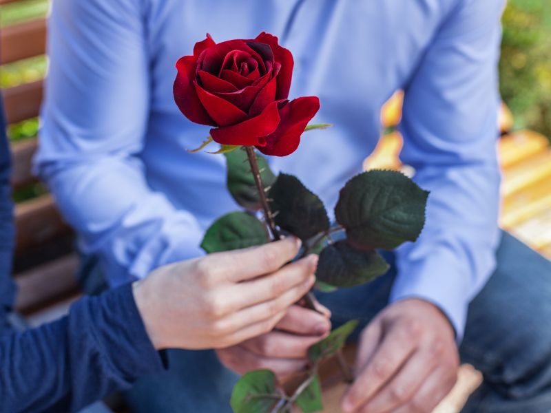 Mơ Thấy Có Người Thích Mình Giải Mã Điềm Báo Số May Mắn 2026 3 mơ thấy người lạ thích mình