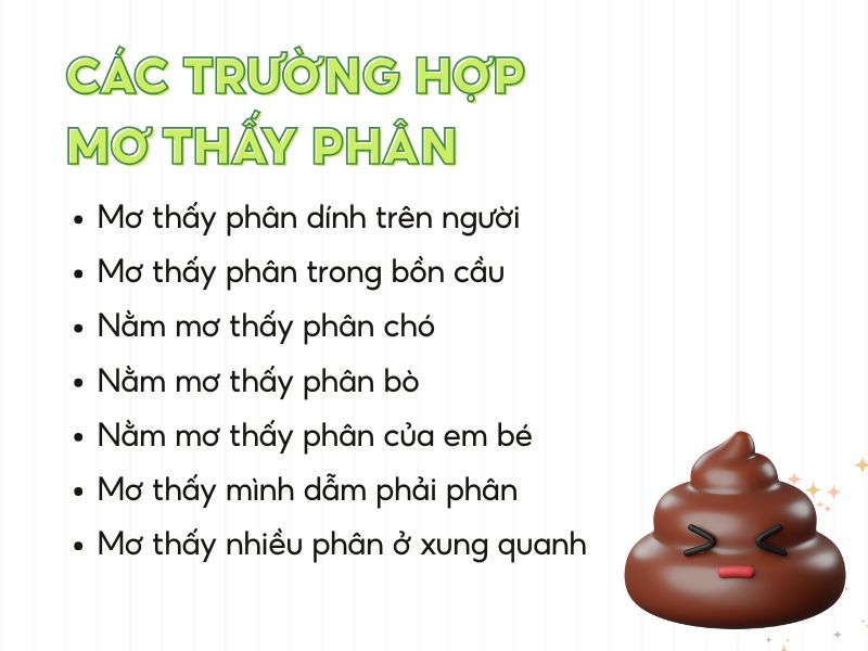 Nằm mơ thấy phân 2026 Giải mã điềm báo và con số may mắn 2 Mơ thấy phân người điềm báo tài lộc