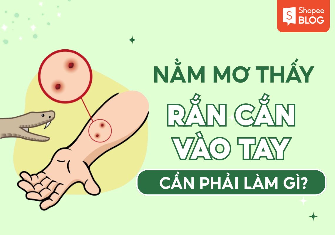 Giải mã ý nghĩa chung khi nằm mơ thấy rắn cắn vào tay