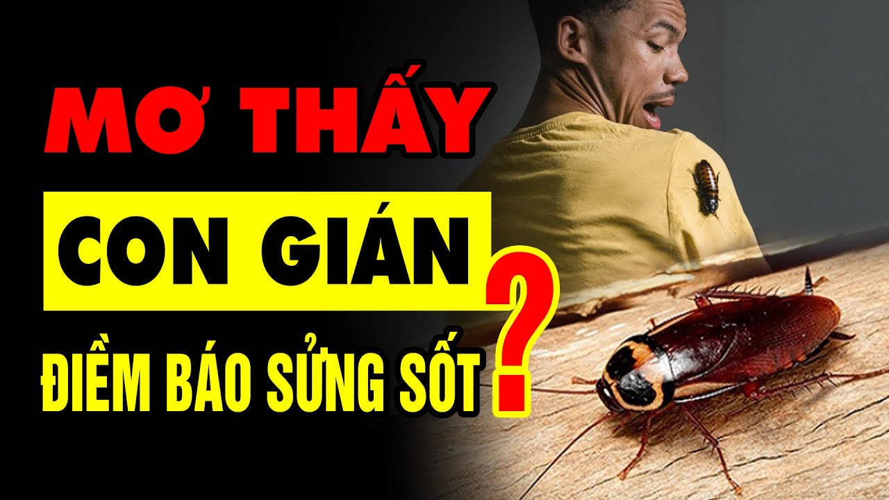 Nằm mơ thấy gián chết là điềm tốt