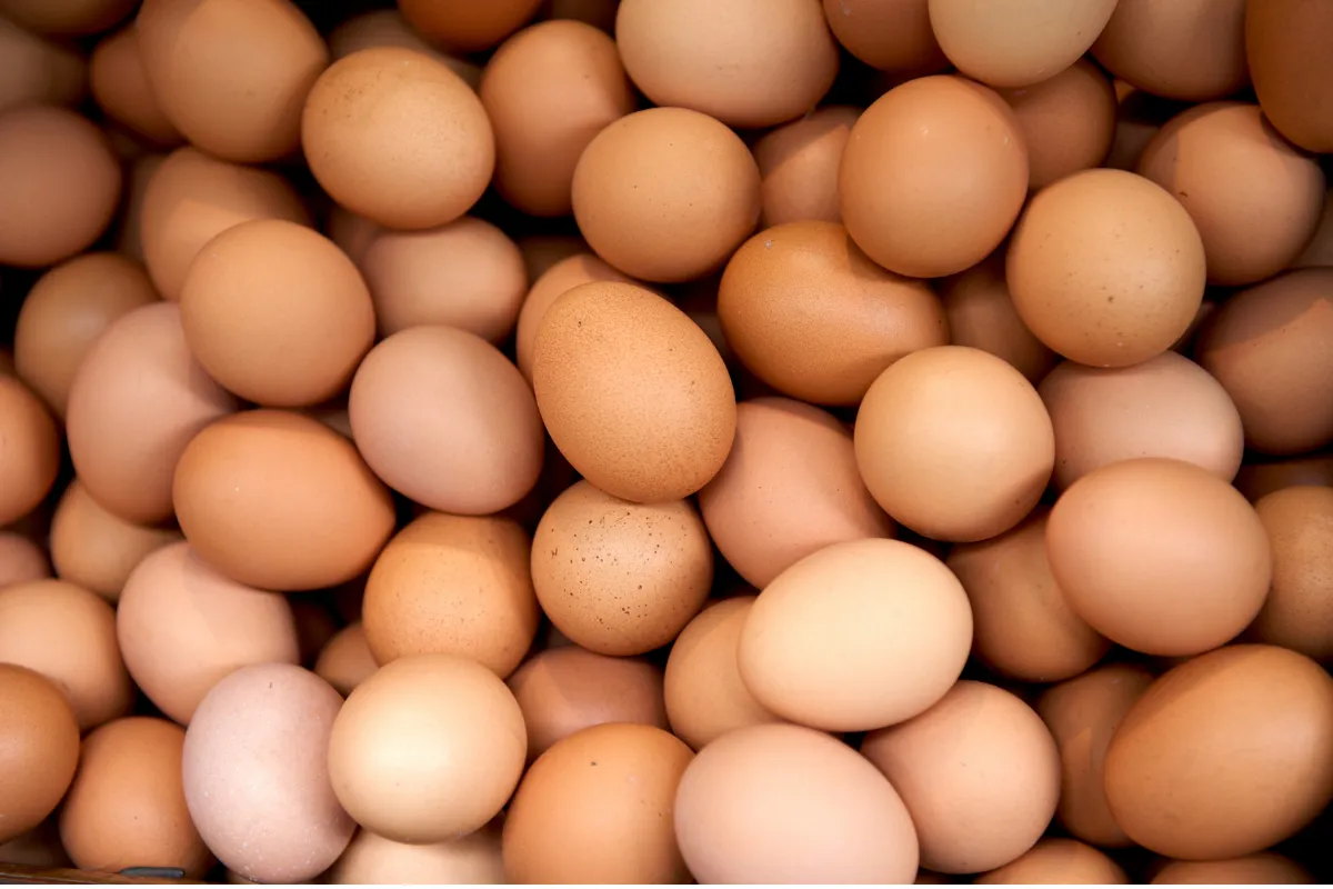 mơ thấy rất nhiều trứng