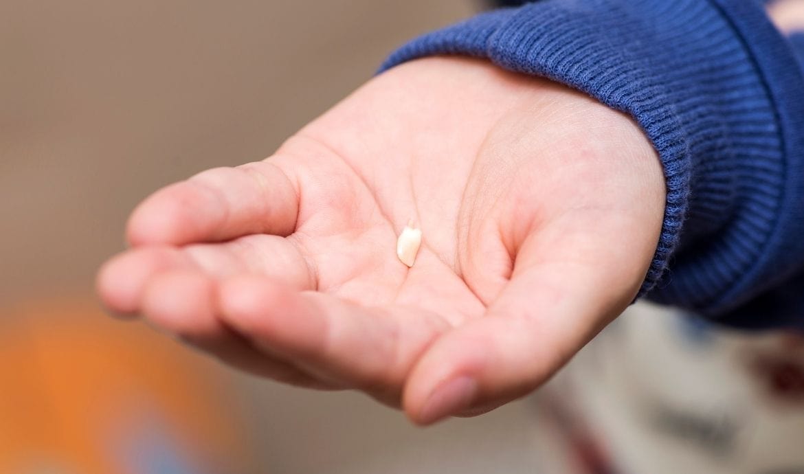 mơ thấy rụng cả hàm răng