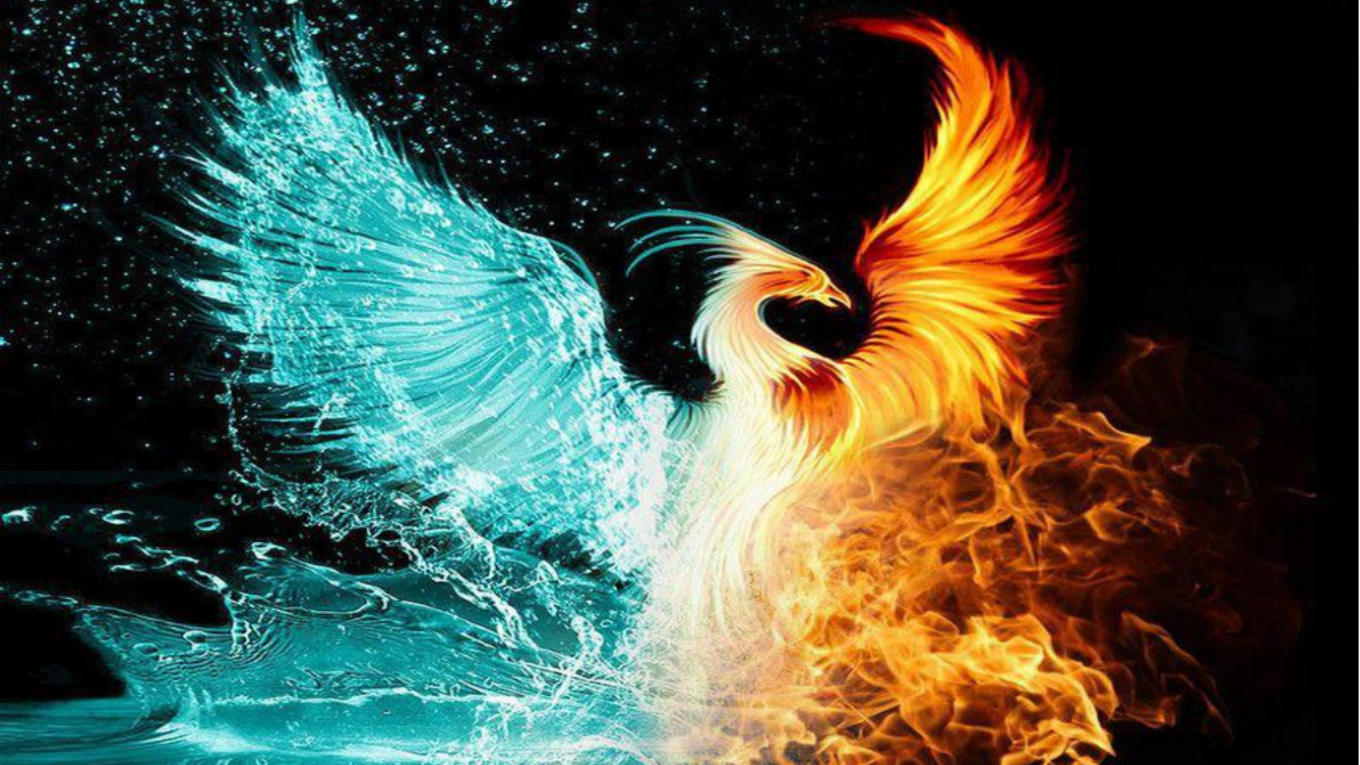 Mơ Thấy Phượng Hoàng Giải Mã Điềm Báo Tốt Xấu Năm 2026 4 chiêm bao thấy phượng hoàng trắng thuần khiết