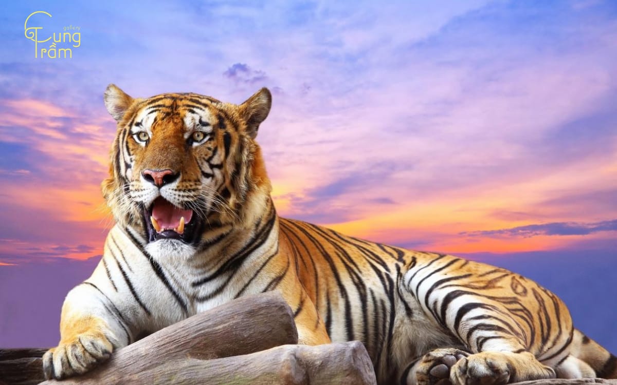 Nằm mơ thấy hổ 2026 giải mã điềm báo và con số may mắn 4 Nằm mơ thấy hổ trắng linh thiêng