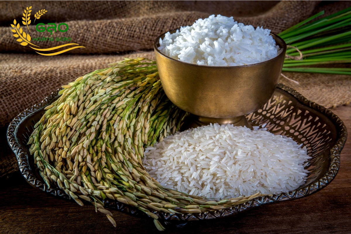 Mơ Thấy Gạo Báo Điềm Gì? Giải Mã & Con Số May Mắn 2026 4 mơ thấy gạo