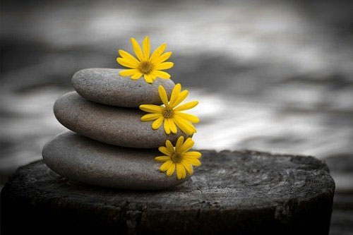 3+ Văn Khấn Cầu Bình An Cho Gia Đình Chuẩn Nhất Năm 2026 21 văn khấn cầu bình an cho gia đình