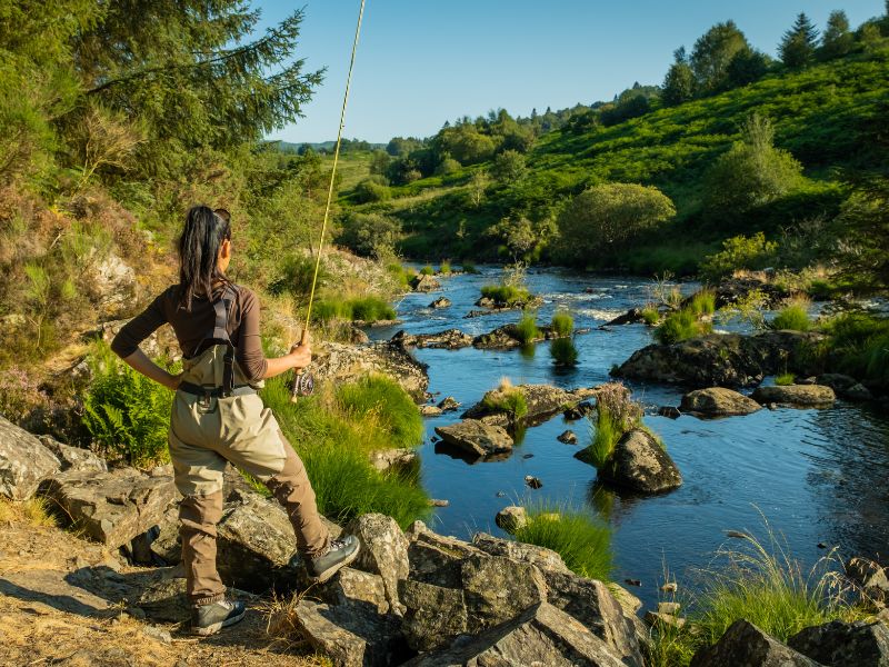 Nằm mơ thấy câu cá báo điềm gì? Giải mã 50+ giấc mơ 3 nằm mơ thấy câu được cá to