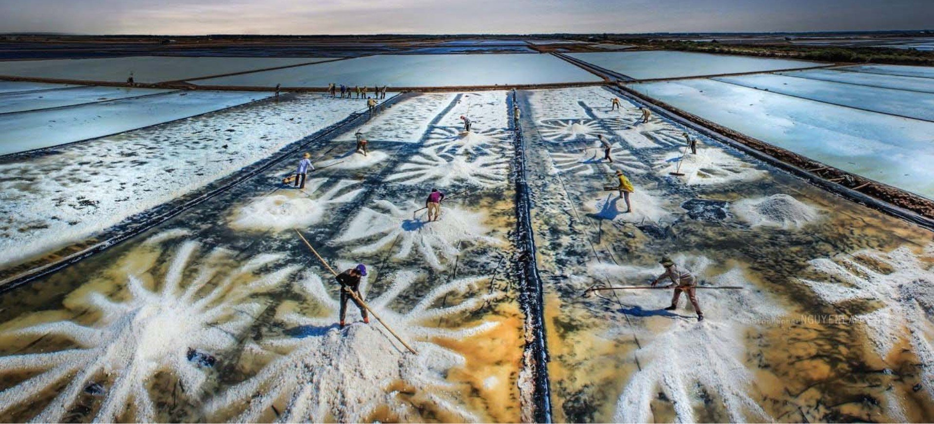 Mơ thấy cánh đồng muối