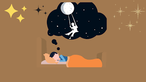 Giải Mã Nằm Mơ Thấy Mèo 50+ Điềm Báo & Số May Mắn 2026 5 nằm mơ thấy mèo con