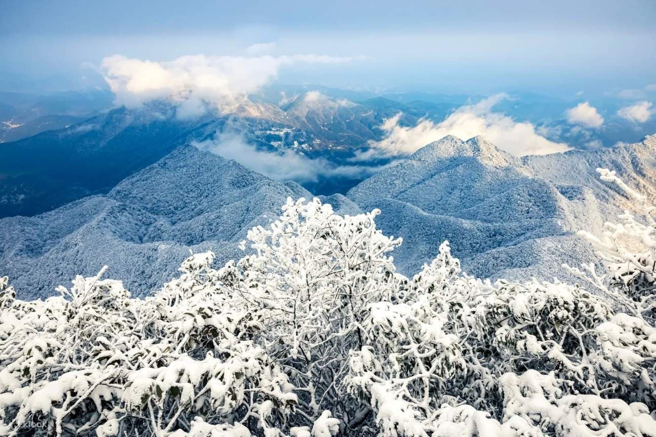 Mơ Thấy Tuyết Điềm Gì? Giải Mã Ý Nghĩa & Số May Mắn 2026 3 chiêm bao thấy tuyết trắng xóa
