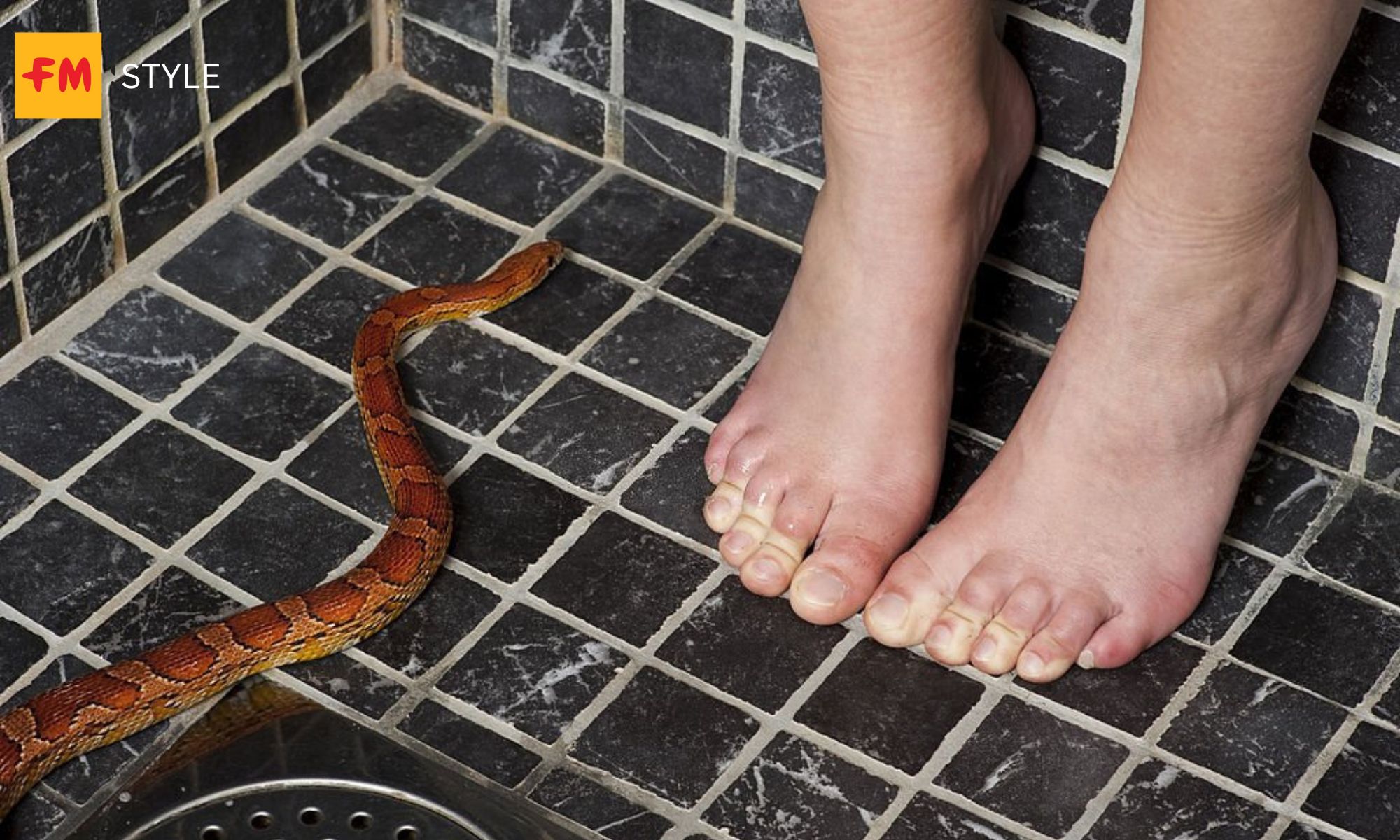 Chiêm bao thấy rắn cắn vào chân