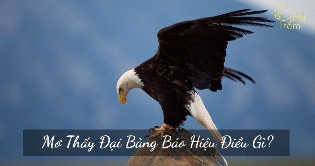 mo thay dai bang 4014