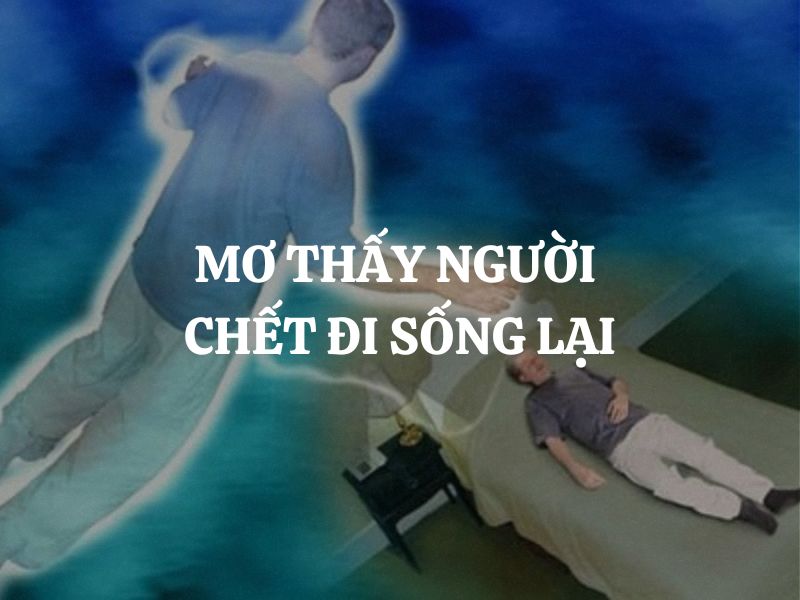 mo thay nguoi chet song lai 2850
