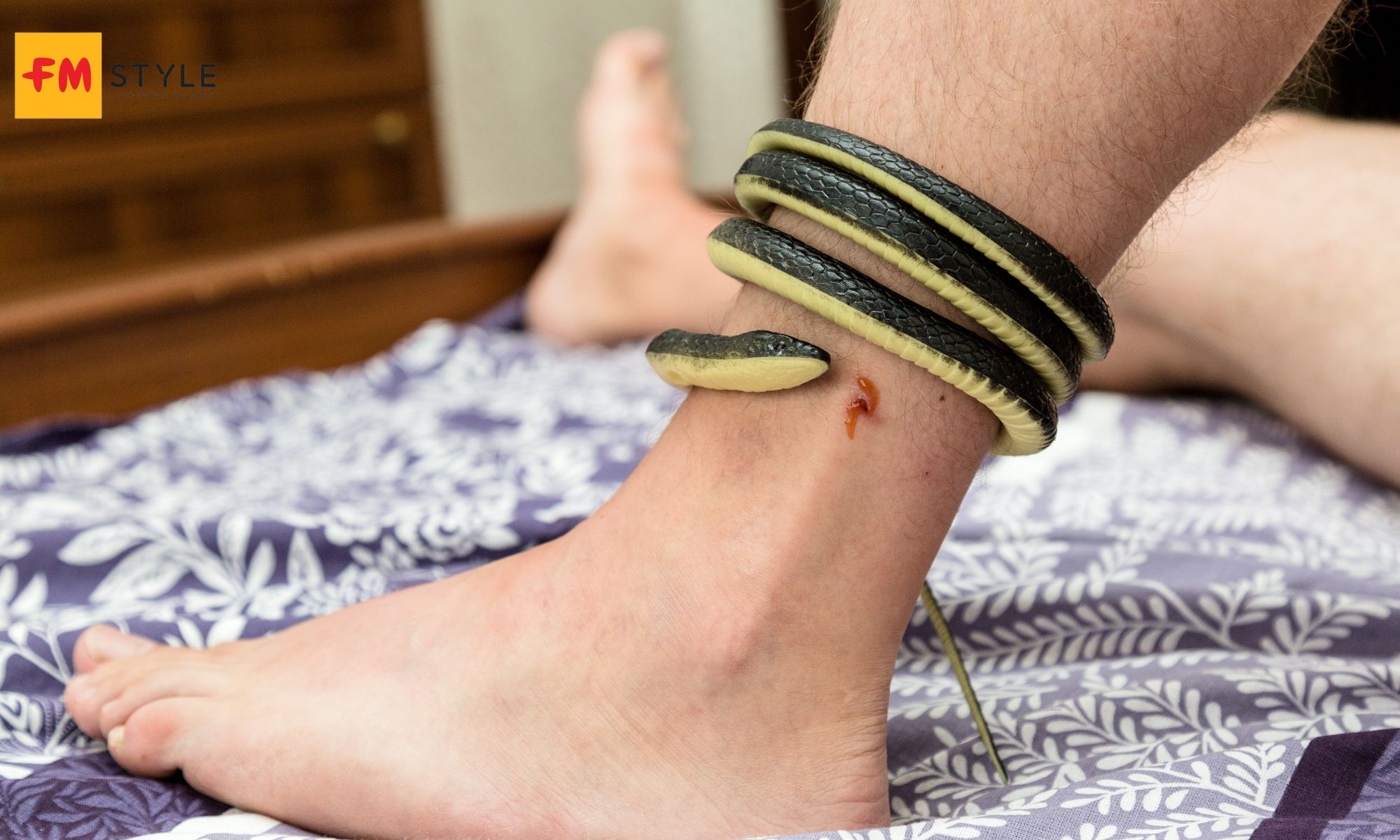 Mơ thấy rắn cắn vào chân là điềm báo gì