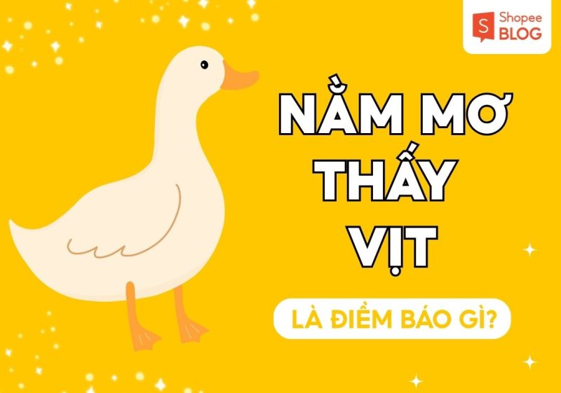 mo thay vit 3399