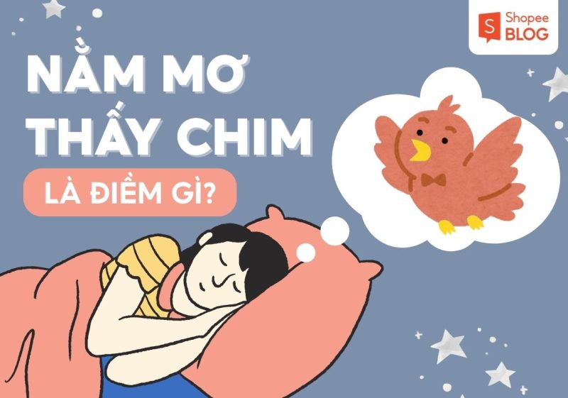 Nằm Mơ Thấy Chim Là Điềm Gì? Giải Mã Con Số May Mắn 2026 19 nam mo thay chim 2905