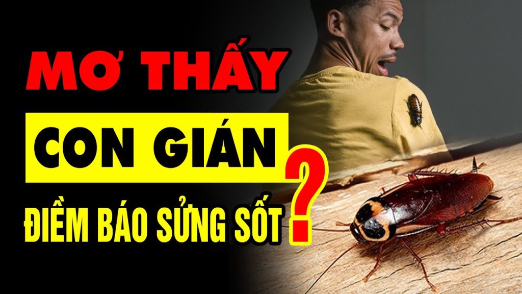 nam mo thay gian 2802