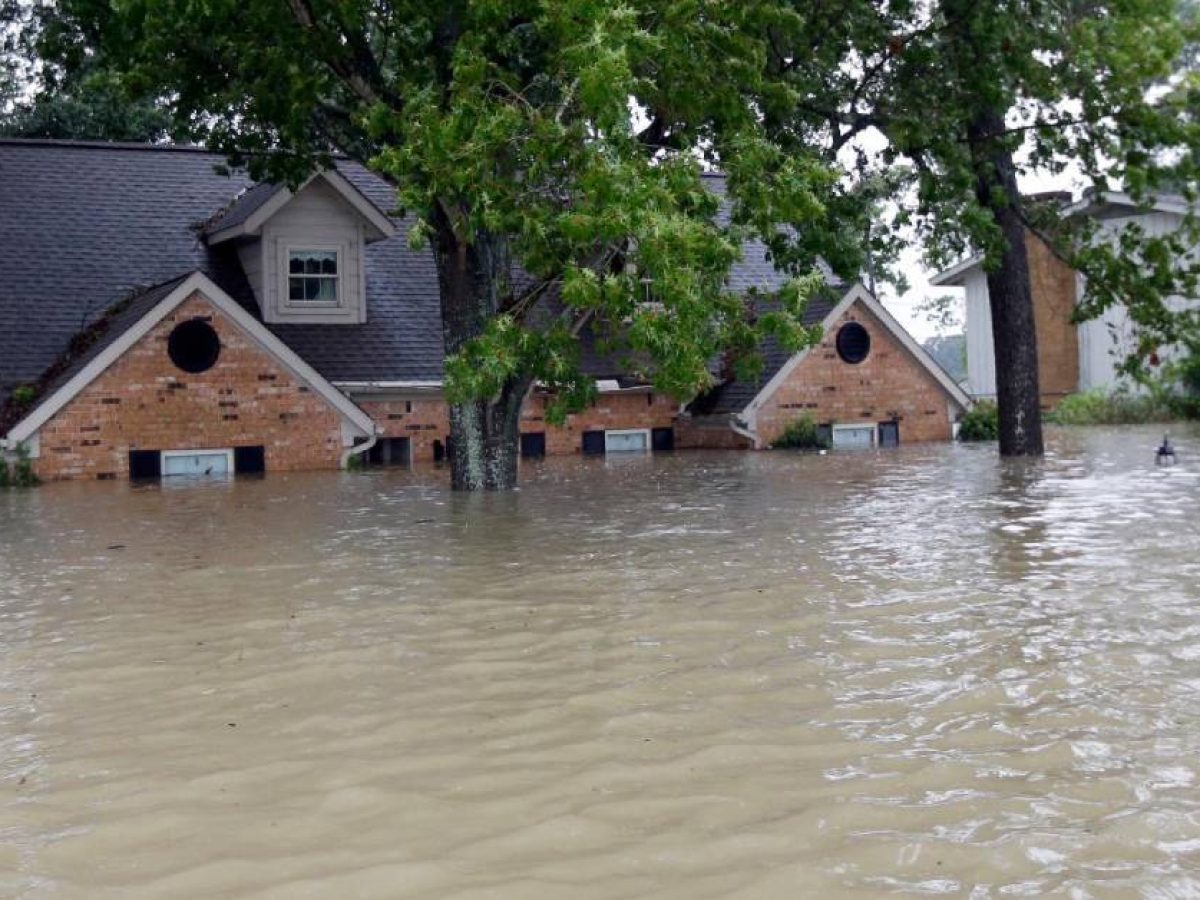 Mơ Thấy Nước Lũ Giải Mã Điềm Báo Tốt Xấu & Số May Mắn 2026 2 Nằm mơ thấy nước lũ dâng cao