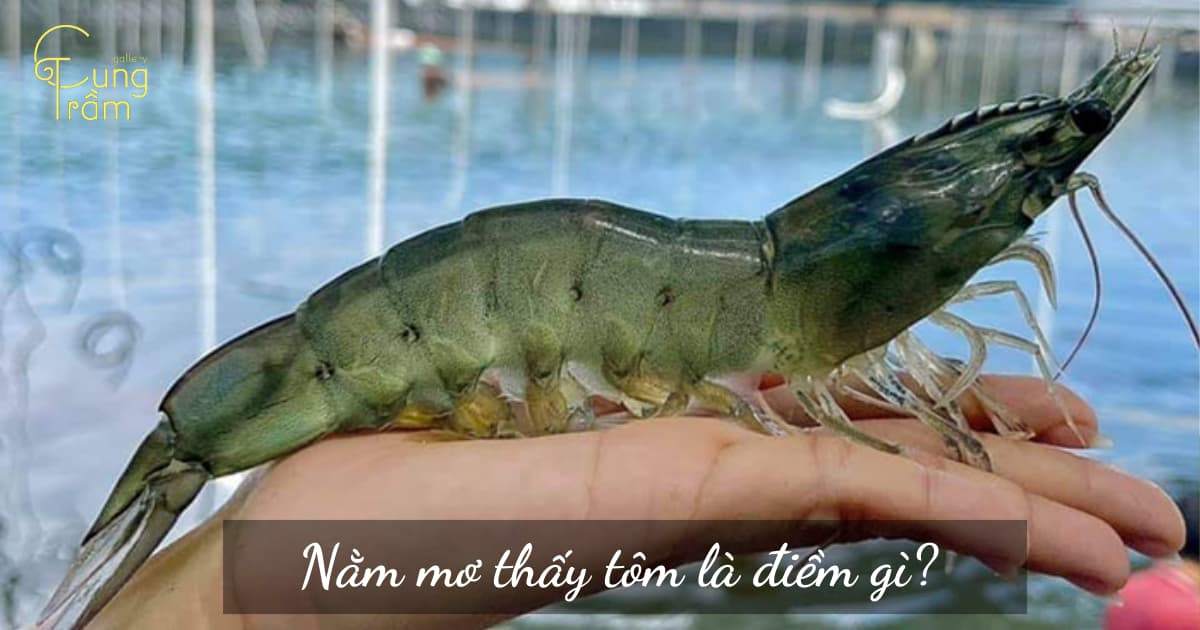 chiêm bao thấy mình đang ăn tôm