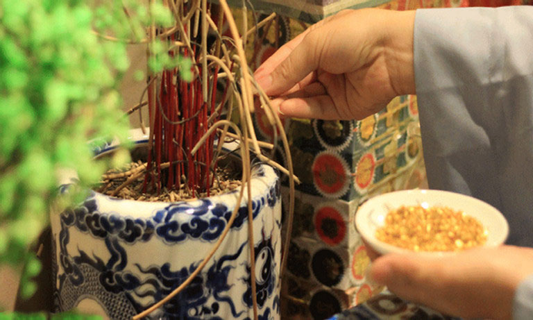 Các bước tỉa chân nhang đúng cách