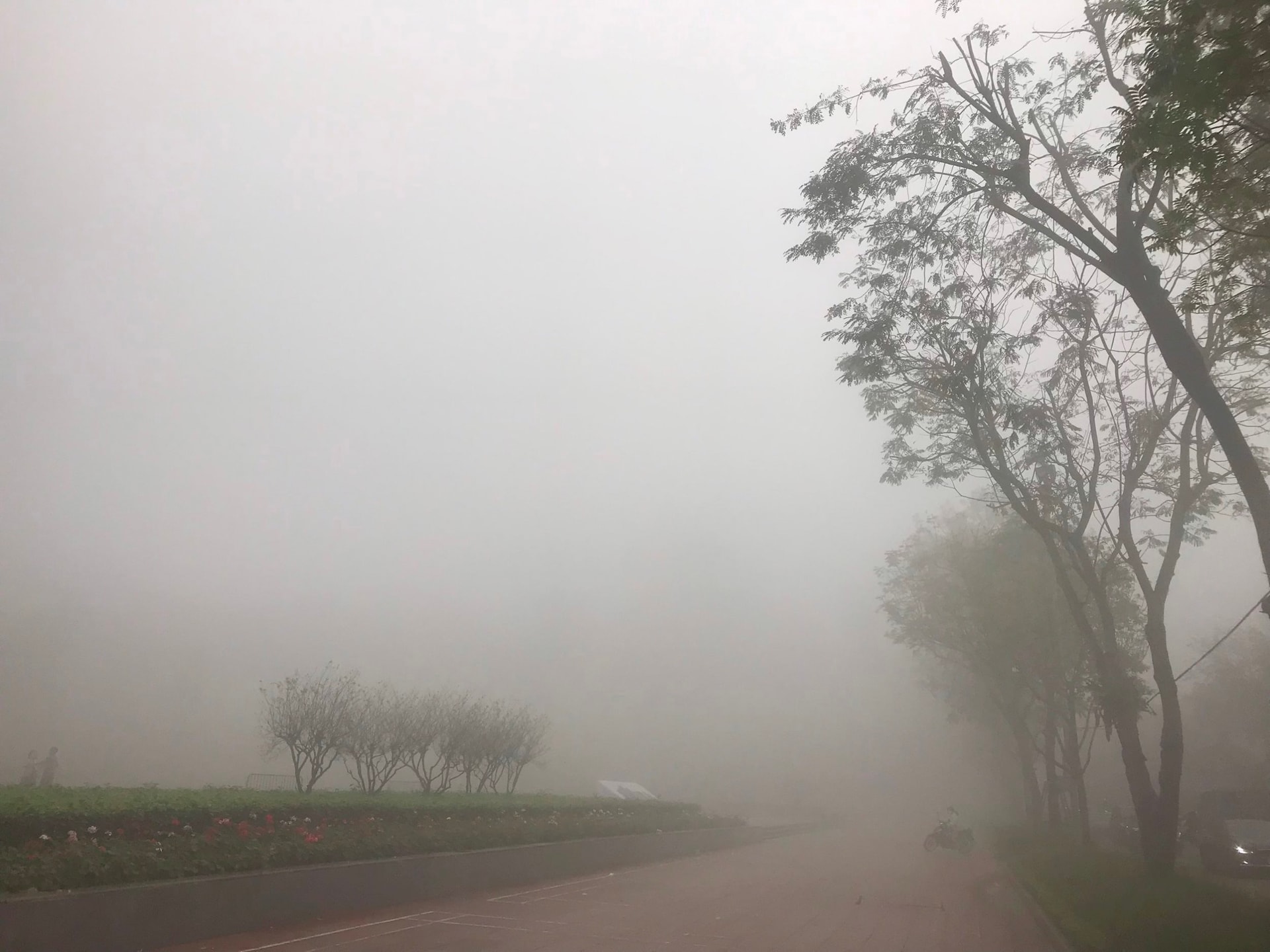 Mơ Thấy Sương Mù Điềm Gì? Giải Mã 15+ Giấc Mơ & Con Số Lộc 2 Mơ thấy sương mù dày đặc che khuất tầm nhìn