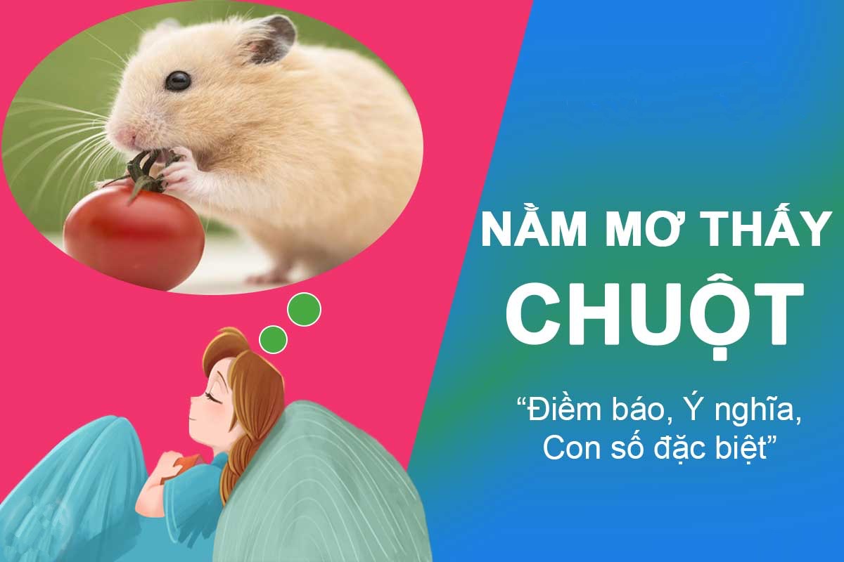 nằm mơ thấy chuột chết
