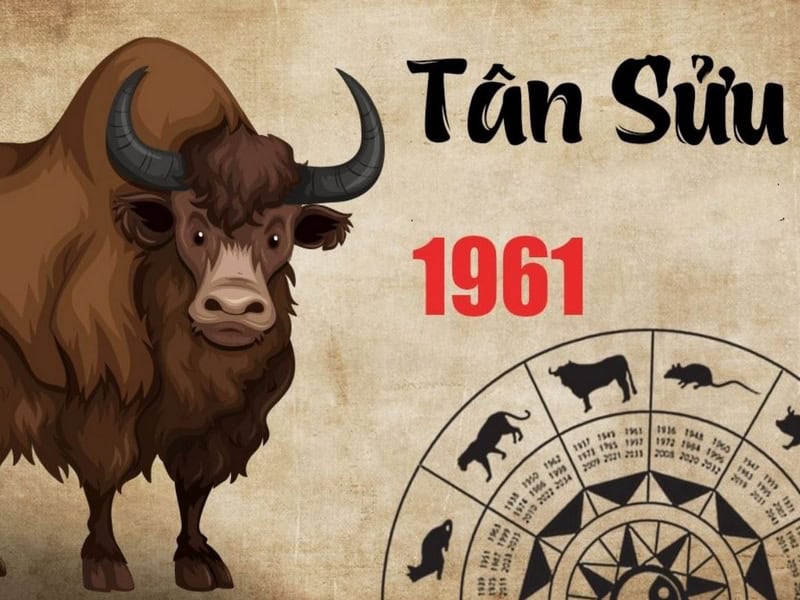 Người sinh năm 1961 mệnh gì