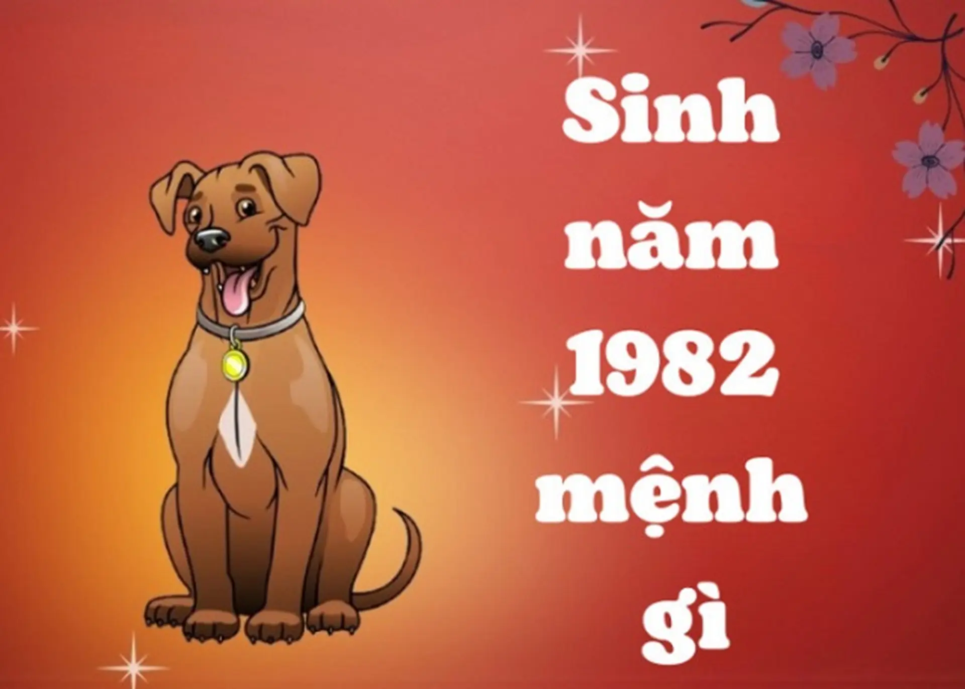 Người sinh năm 1982 mệnh gì hợp màu gì