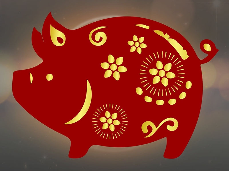 Tính cách nữ mạng Quý Hợi 1983 mệnh gì