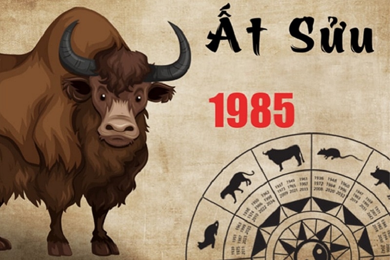 Con số may mắn cho người sinh năm 1985