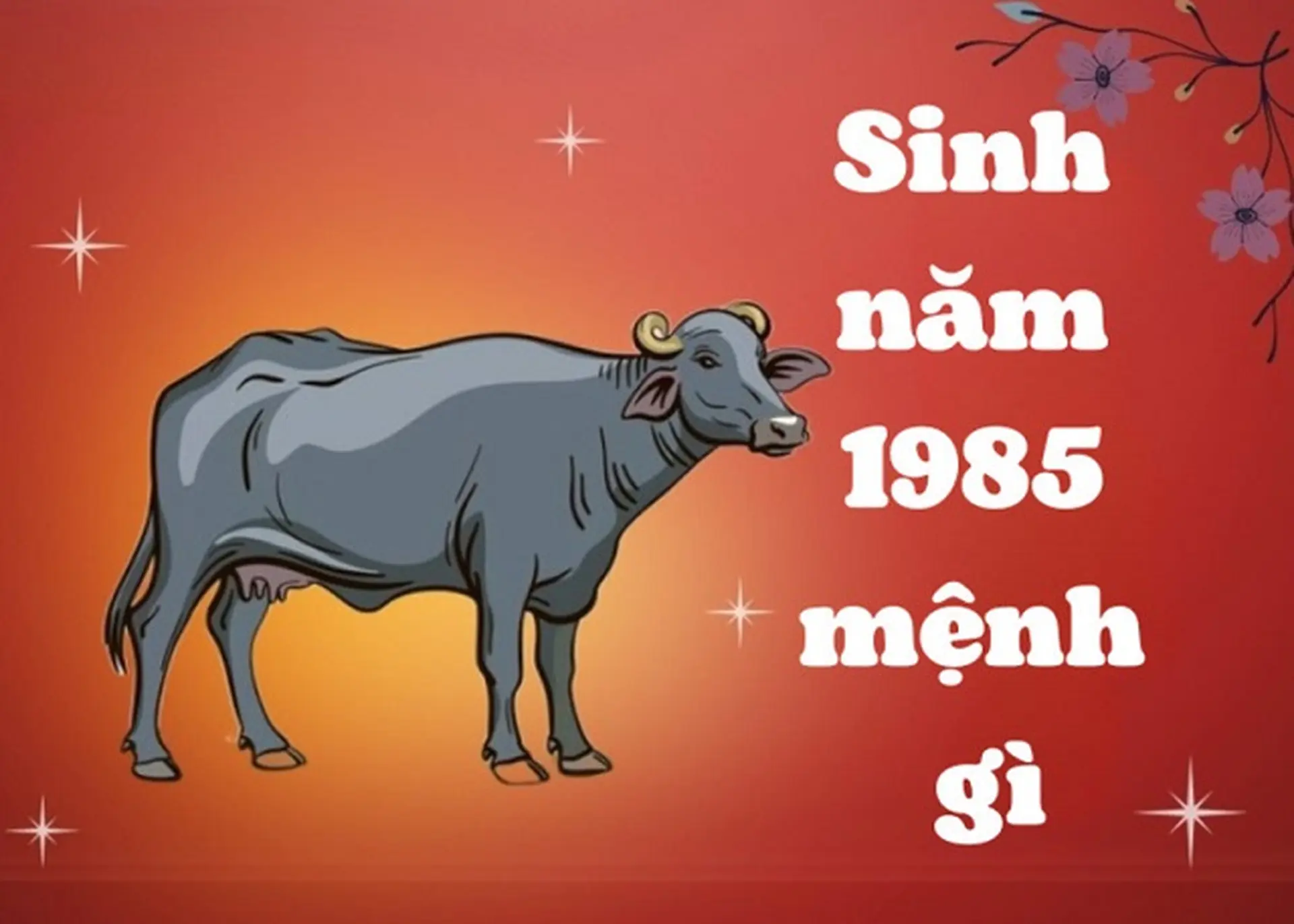 Tổng quan người sinh năm 1985 mệnh gì