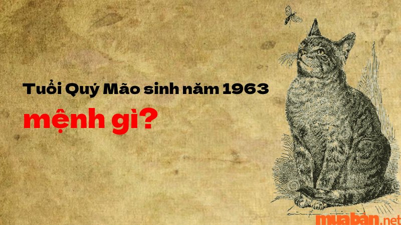 Tính cách đặc trưng của tuổi Quý Mão 1963