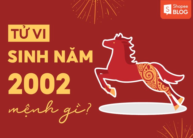 1b072131 2002 menh gi