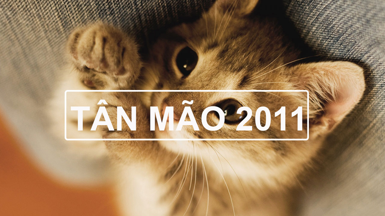 Tính cách người sinh năm 2011 mệnh gì