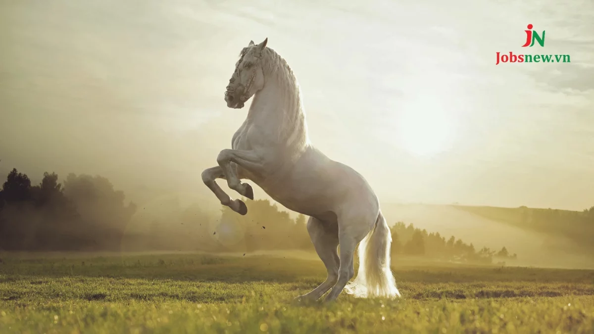 Tuổi Giáp Ngọ hợp với tuổi nào