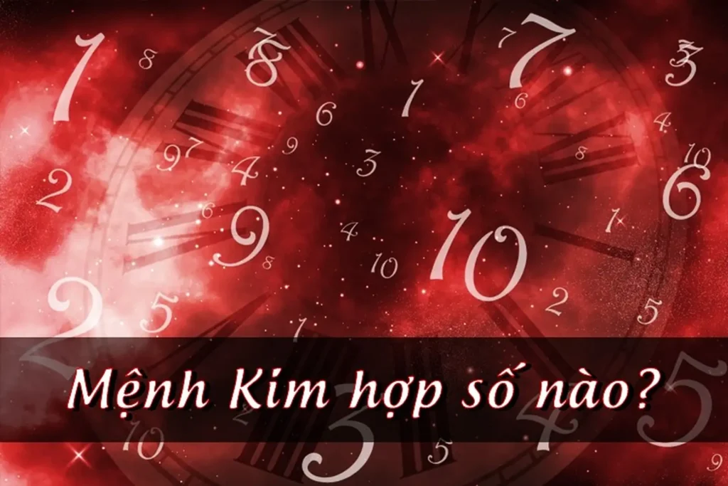 2023 12 28 638393772395962668 menh kim hop so nao avt