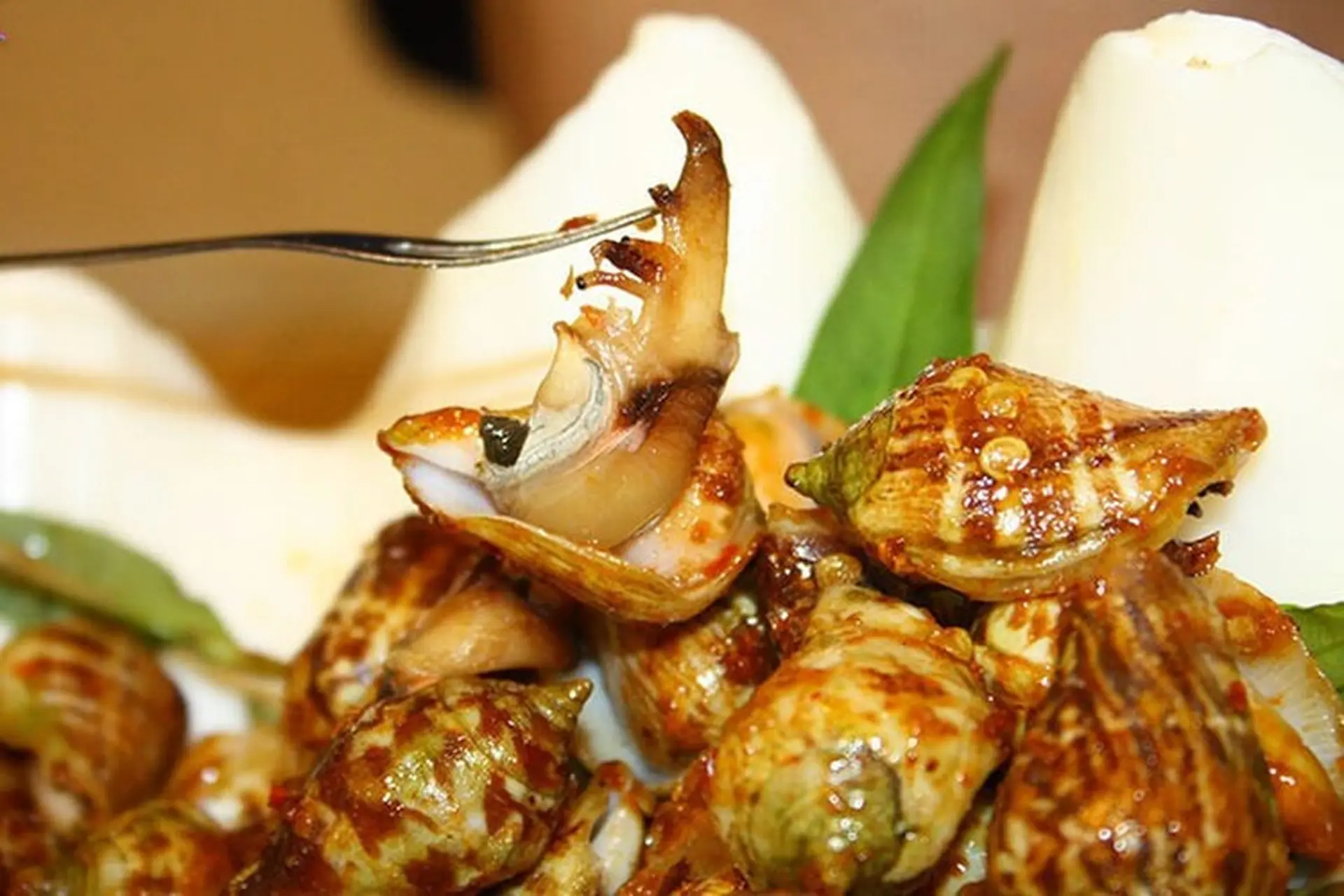 Ăn ốc ngày mùng 1 có sao không