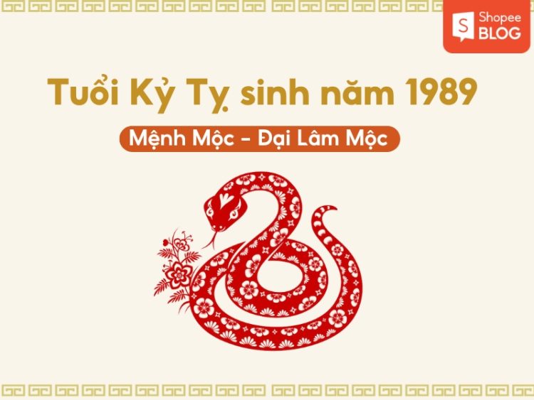 Tuổi Kỷ Tỵ 1989 mệnh gì