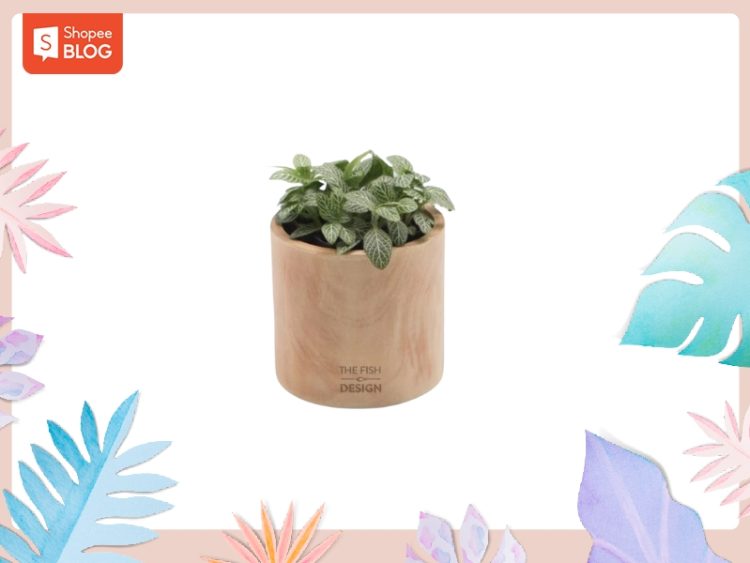 2000 mệnh gì hợp màu gì