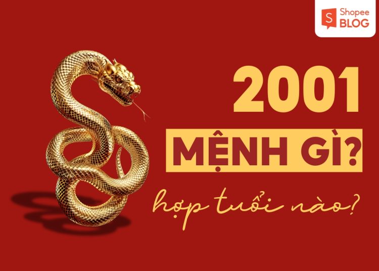 7559f131 2001 menh gi