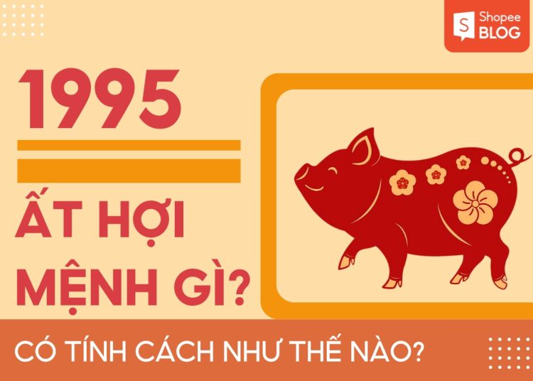 785ed286 1995 menh gi thumbnail