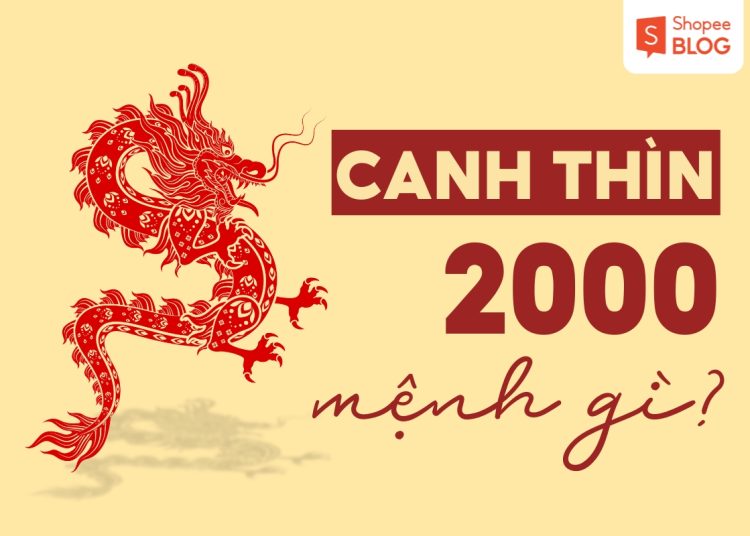 95c05020 2000 menh gi