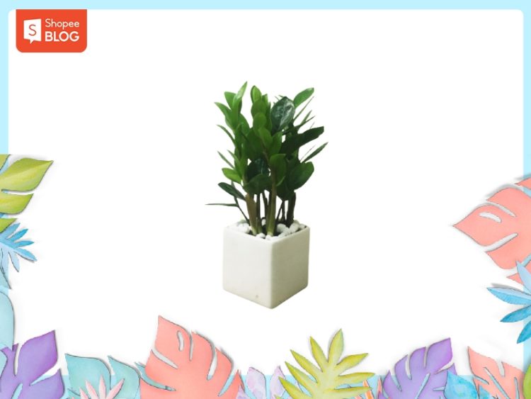 Vật phẩm phong thủy cho tuổi Giáp Tuất 1994