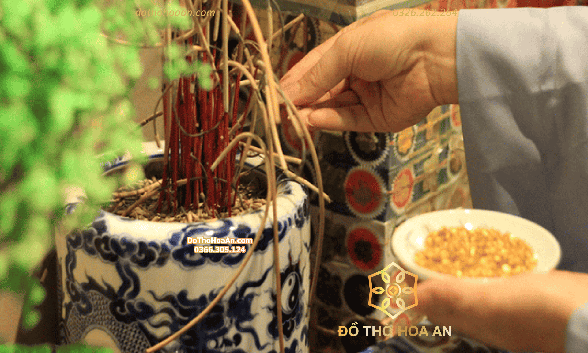 cách tỉa chân nhang