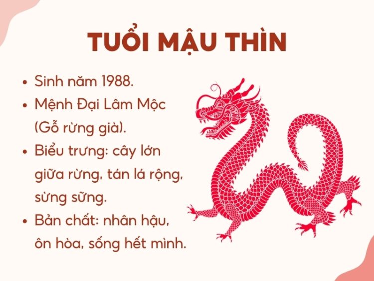 Tử vi nam mạng Mậu Thìn 1988