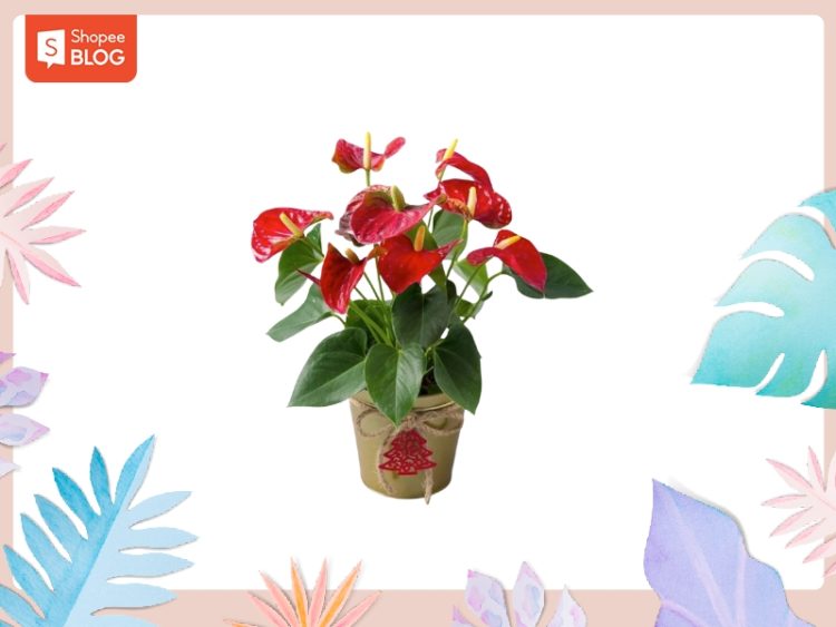 Vật phẩm phong thủy cho tuổi Canh Ngọ